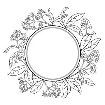 Allspice Branch Outline Circular Frame Stock Illustration