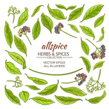 Allspice elements set Stockillustratie