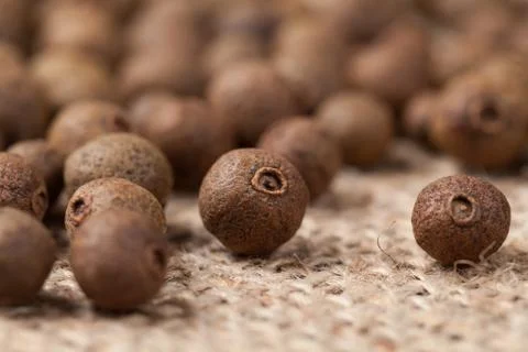 Allspice pepper seeds close up texture on vintage textile backgr Stock Photos