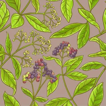 Allspice vector pattern Stock Illustration