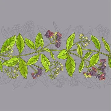 Allspice vector pattern Stock Illustration