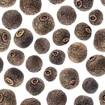 Allspice on white background, seamless pattern Stock Photos