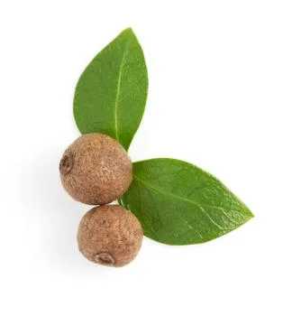 Allspices on white background Stock Photos