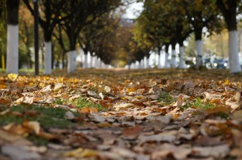 Alluring distance Stock Photos