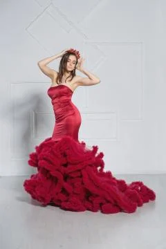 Alluring young lady posing in a studio. Stock Photos