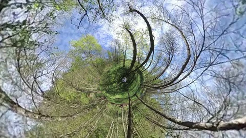 Alluvial forest, VR360, VR, 360VR, Tiny planet Stock Footage 107380240