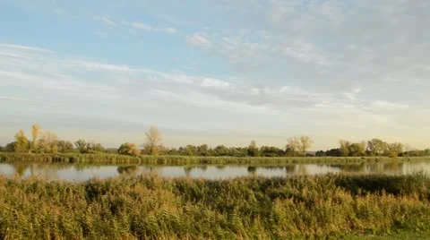 Alluvial landscape at Oder River near Gartz, Unteres Odertal National Park, Stock Footage 18007462