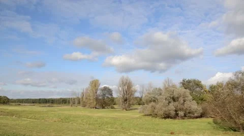 Alluvial landscape, Oderwiesen Nature Reserve, Frankfurt (Oder), Germany Stock Footage 12912404