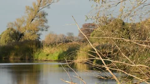 Alluvial landscape, Oderwiesen Nature Reserve, Frankfurt (Oder), Germany Stock Footage 12917858