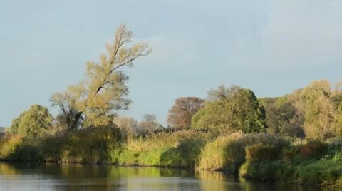 Alluvial landscape, Oderwiesen Nature Reserve, Frankfurt (Oder), Germany Stock Footage 12918301