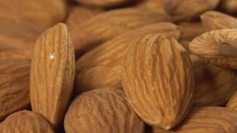 Alm1206zc Stock Footage 155537272