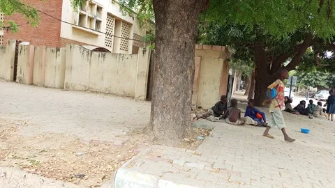 Almajiri Students Resting Tree Lined Roadside Kano Nigeria Vídeo Stock 331564306