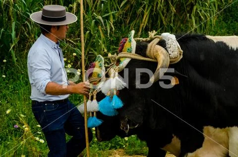 ALMAYATE, SPAIN - APRIL 21, 2018 Traditional Andalusian contest based on the Stock Photos
