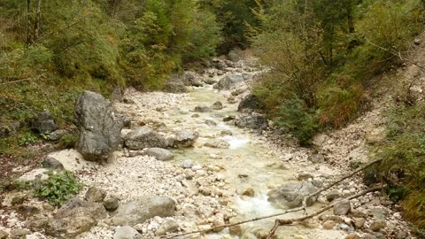 Almbachklamm gorge in fall Video stock 291795978