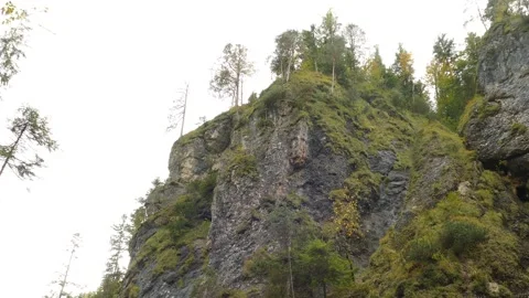 Almbachklamm gorge in fall Stock Footage 291795997