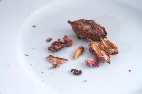 Almendra Stock Photos