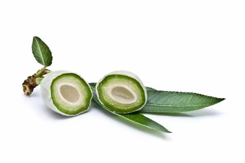 Almon cut in two halves. Stock Photos
