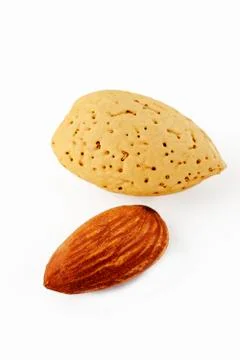 Almond and shell Stock Photos