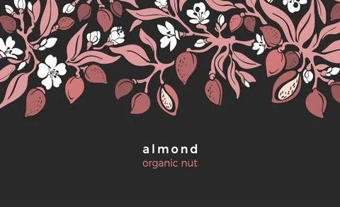 Almond border. Vector pattern of tree, branch, fruit, organic nut, leaves, fl Stock Illustration