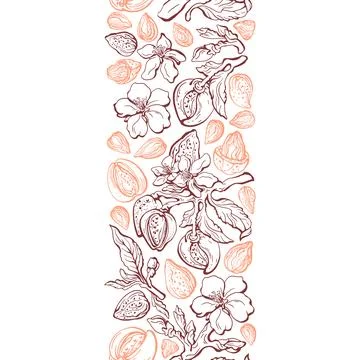 Almond border. Vector seamless pattern. Hand drawn Stock Illustration