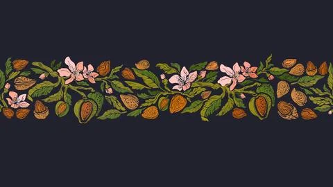Almond border. Vector seamless strip. Branch, nut Stock Illustration