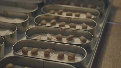 Almond chocobar Stock Footage 150252459