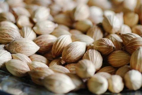 Almond close up Stock Photos