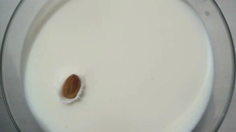 Almond fall in slow motion into a full bowl of milk. View from above Stock Footage 131041618