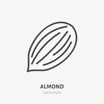 Almond flat line icon. Vector thin sign of nut, healthy food outline Illustrazione stock