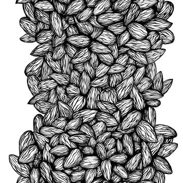 Almond hand drawn vertical pattern, ink drawing of a pile of almonds, good for Stock Illustration