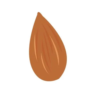 Almond Icon Vector Illustration Stock Illustration