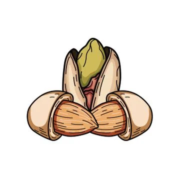 Almond Stock Illustration