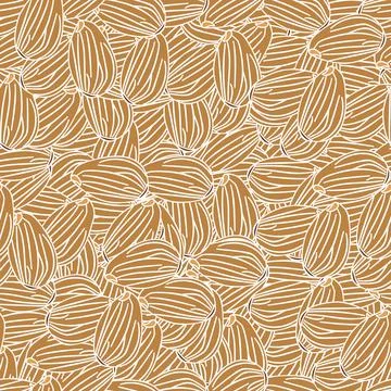 Almond Illustrazione stock