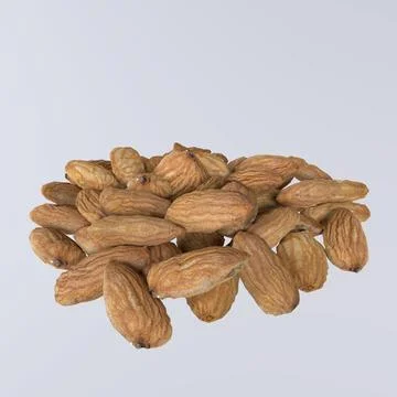 Almond isolated on white background Stock Illustration