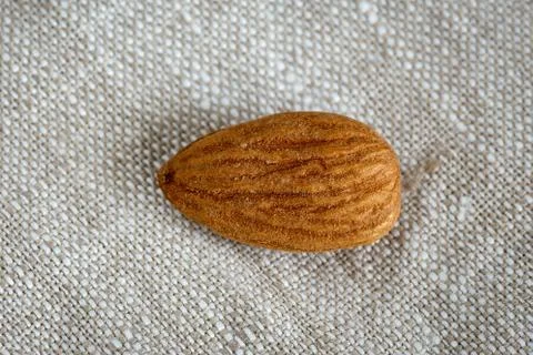 Almond kernel light brown Foto stock