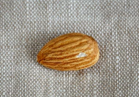 Almond kernel light brown Stock Photos