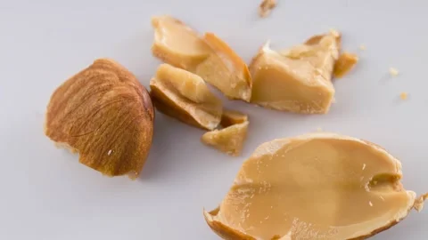 Almond Kernels And Shells On White Background Stock Footage 338264891