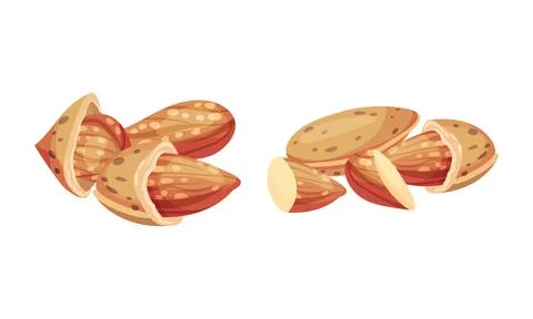 Almond kernels in nutshell set. Healthy organic nutritious vegetarian product Stock Illustration
