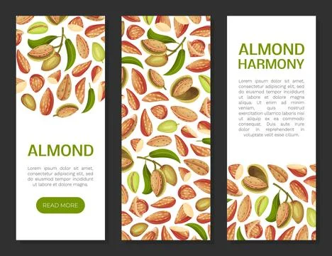 Almond Nut Banner Design with Shell and Kernel Vector Template Illustrazione stock