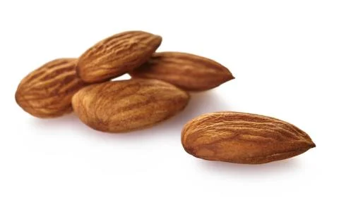 Almond nut close-up Stock Photos