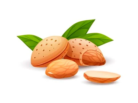 Almond nut composition, food vector drawing, flat Stock Illustration