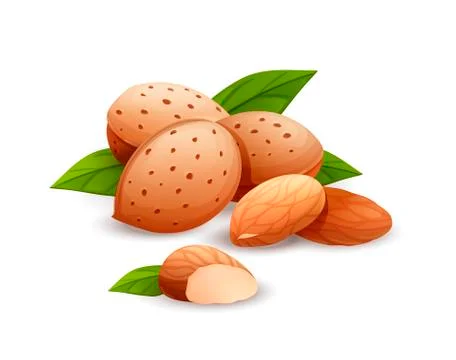 Almond nut composition, food vector drawing, flat Stock Illustration