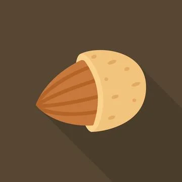 Almond nut emerging from shell on dark brown background 스톡 일러스트
