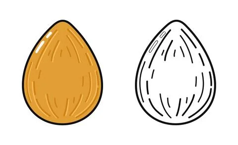 Almond nut food simple vector illustration and outline Stock Illustration