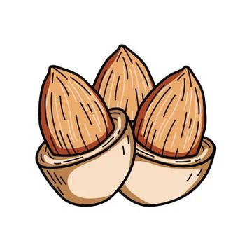 Almond nut Stock Illustration