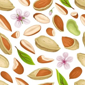 Almond Nut Kernel with Shell and Flower Seamless Pattern Vector Template Illustrazione stock