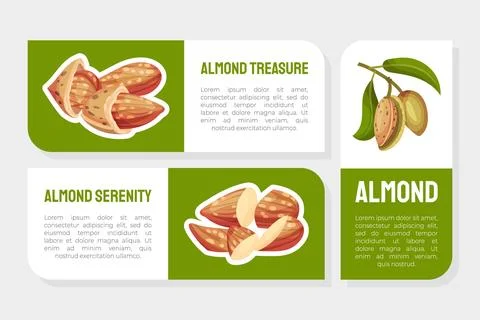 Almond Nut Label Design with Shell and Kernel Vector Template Stock Illustration