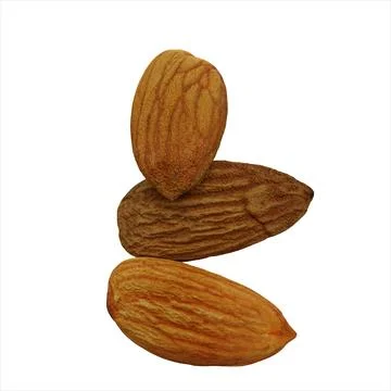 Almond Nut. Realistic 3D Render. Food Element. Isolated On White Background Illustrazione stock
