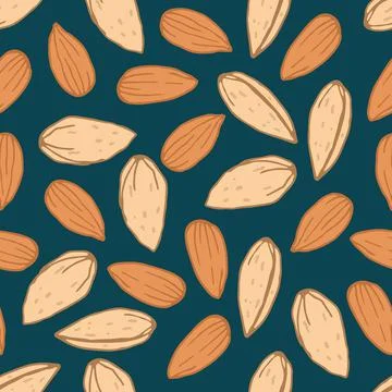Almond nut seamless pattern on dark blue. Hand drawn vector nut. Nuts backdrop Stock Illustration