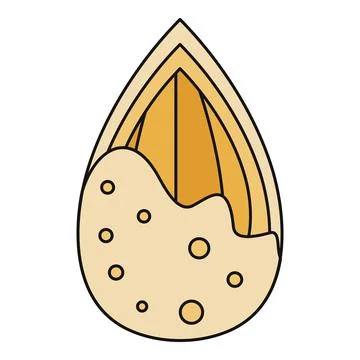 Almond nut with shell flat vector icon 스톡 일러스트